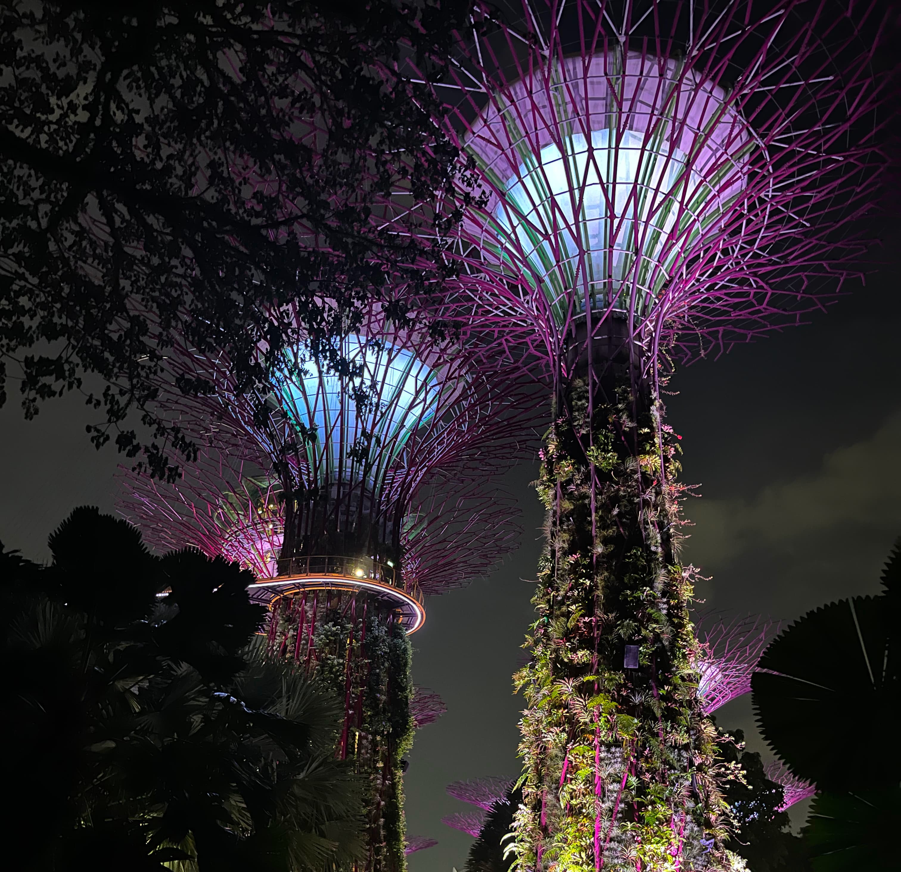 Mushroom like structures from the Gardens by the Bay, Singapore